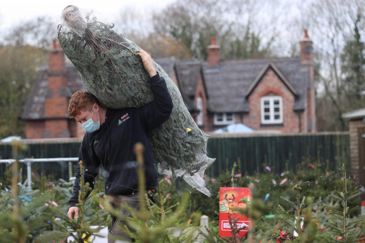 A worker carries a tree at a Christmas tree farm, amidst the outbreak of the CCP virus, in Keele, Staffordshire, on Nov. 24, 2020. (Carl Recine/Reuters)