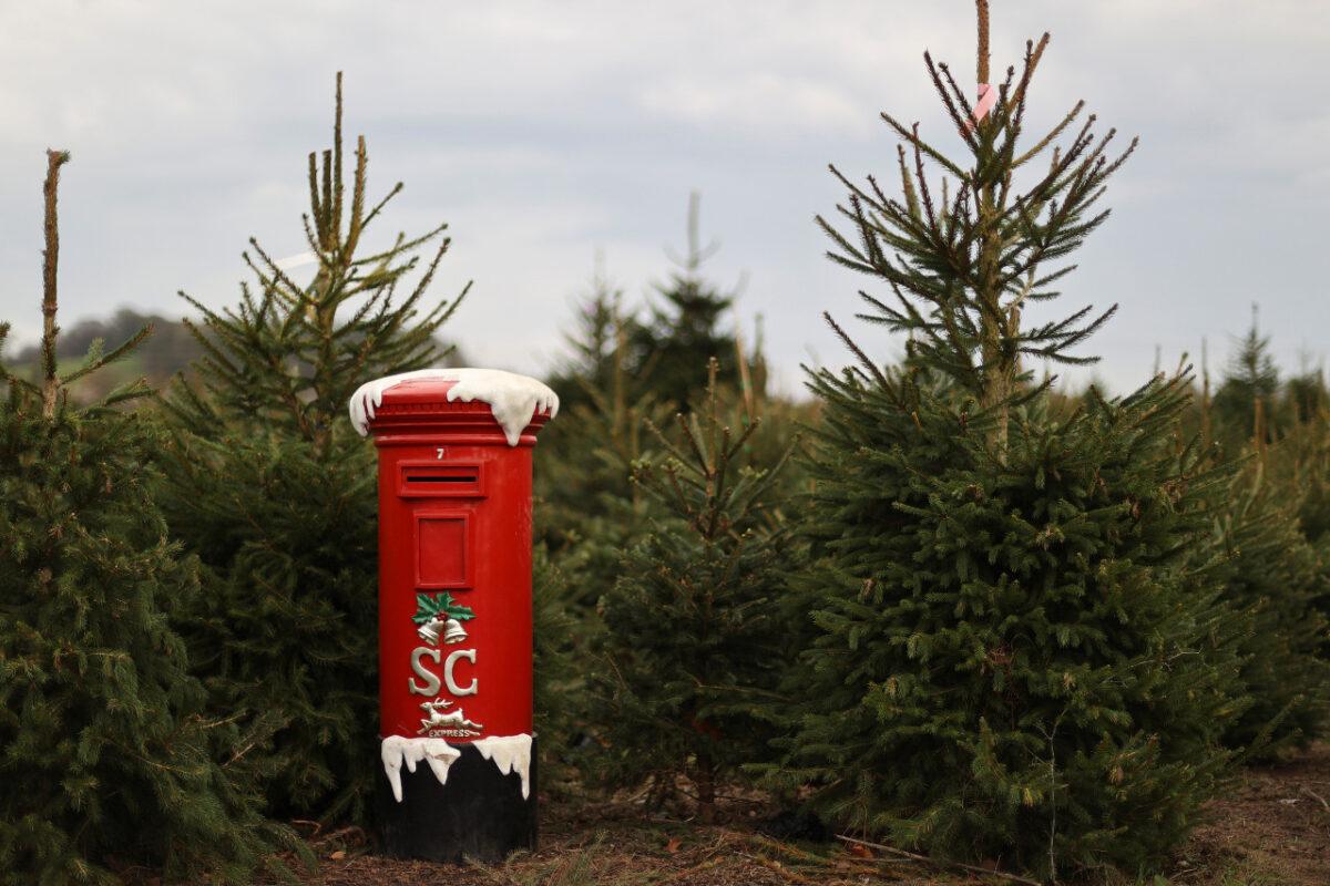 A mailbox for letters to Santa Claus is pictured at a Christmas Tree Farm, amidst the outbreak of the CCP virus, in Keele, Staffordshire, on Nov. 24, 2020. (Carl Recine/Reuters)