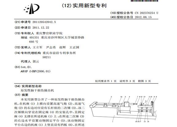 Screenshot of Wang Lijun's invention in his patent application. Courtesy of the WOIPFG.