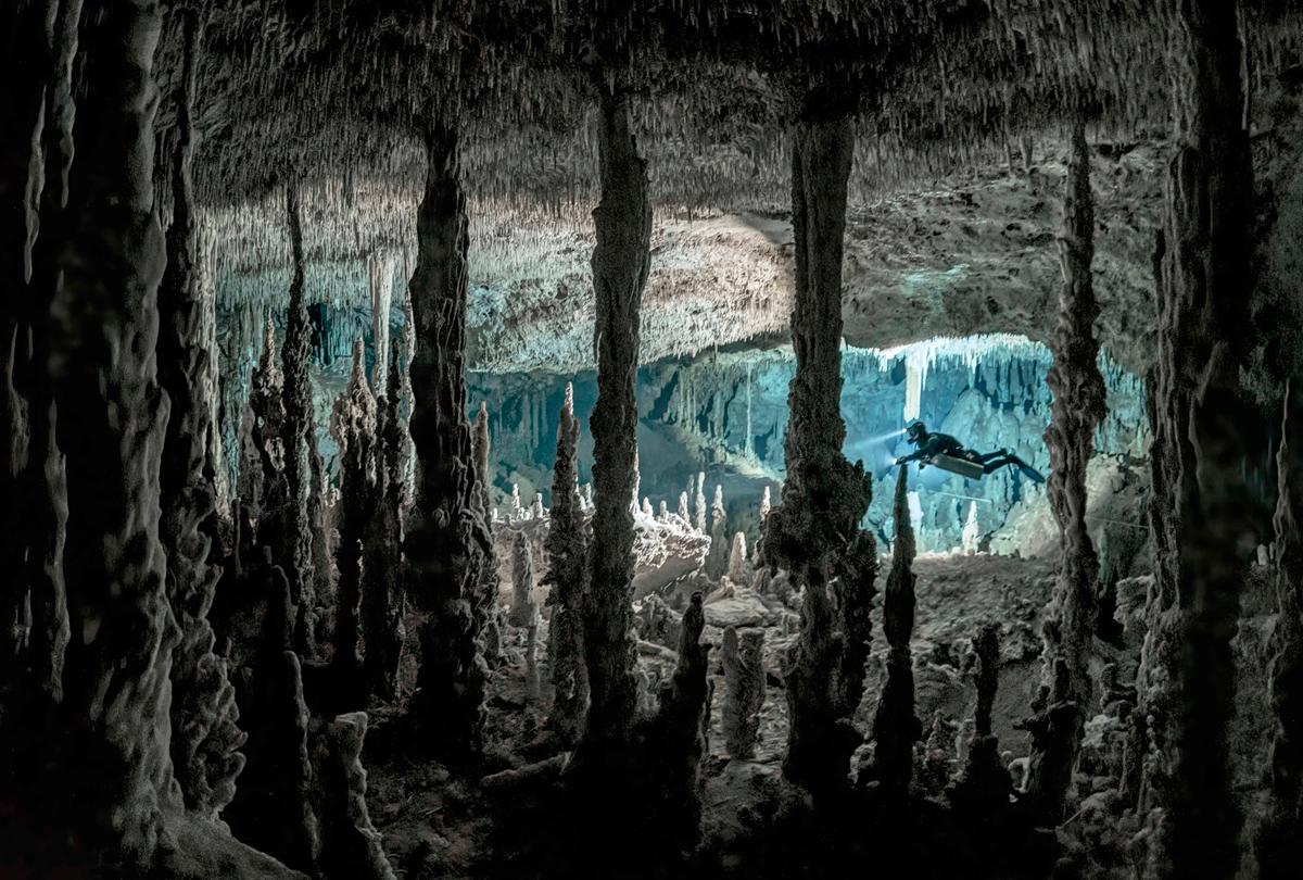 Formed millions of years ago during the ice ages, these rare images show cenotes at the Riviera Maya in Mexico. (Caters News)