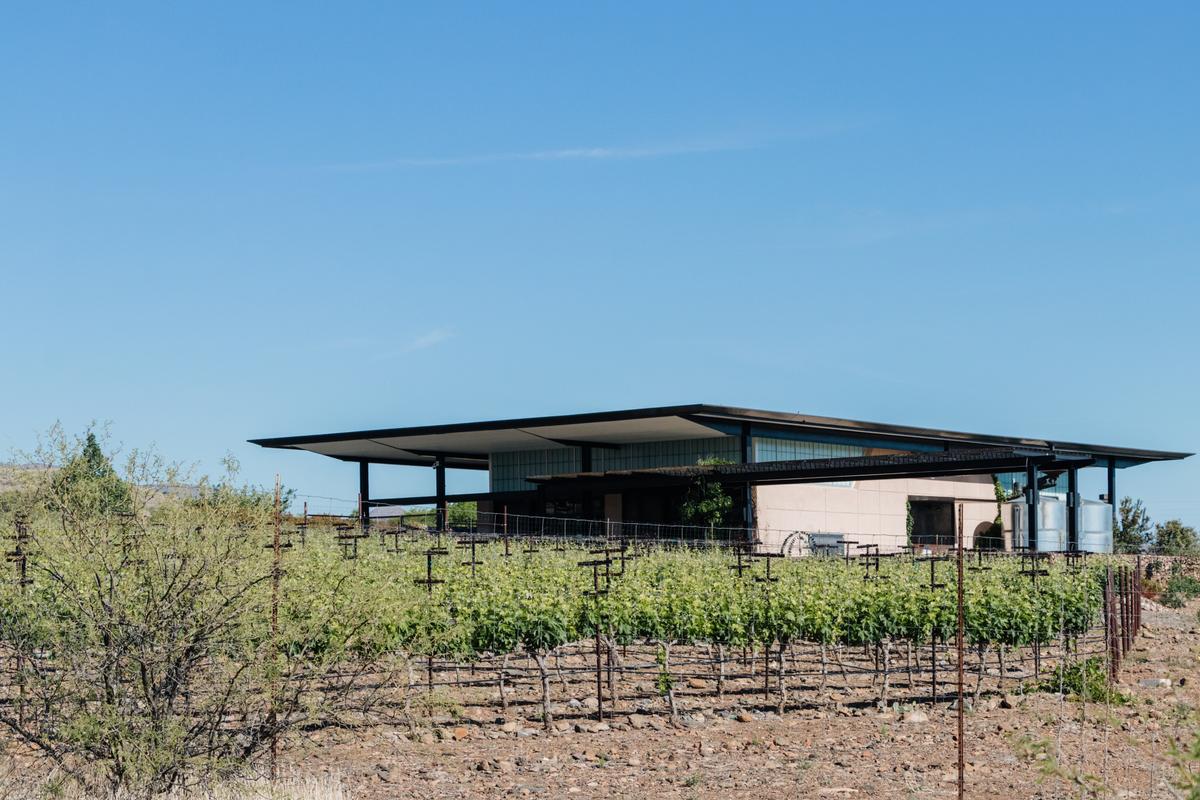 The Southwest Wine Center at Yavapai College is a teaching vineyard and winery for students pursuing a career in the wine industry. (Dennis Lennox)