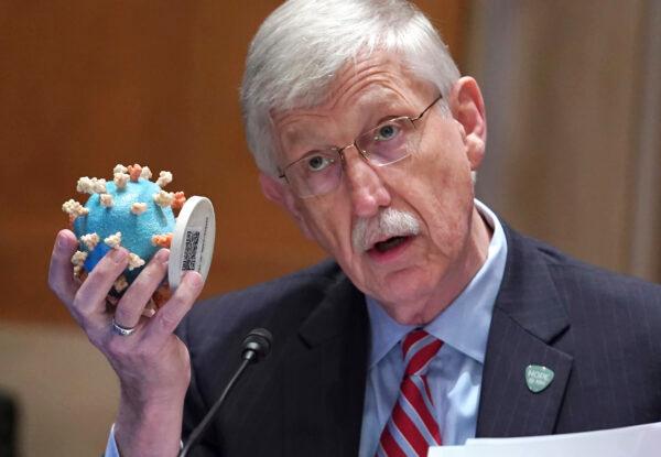 NIH Director Dr. Francis Collins holds up a model of the coronavirus as he testifies before a Senate Appropriations Subcommittee looking into the budget estimates for the National Institute of Health (NIH) and the state of medical research, on Capitol Hill in Washington on May 26, 2021. (Sarah Silbiger/Pool via AP)