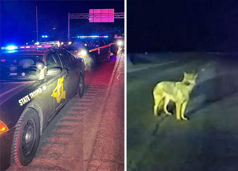 Left: (Courtesy ofNew Hampshire State Police); Right: (Courtesy ofLebanon NH Police Department)