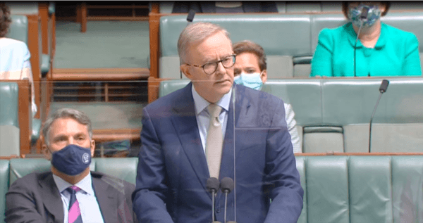 National Opposition Leader Anthony Albanese apologises to abuse victims in the House of Representatives at Parliament House in Canberra, Australia, on Feb. 8, 2022. (Screenshot by The Epoch Times)