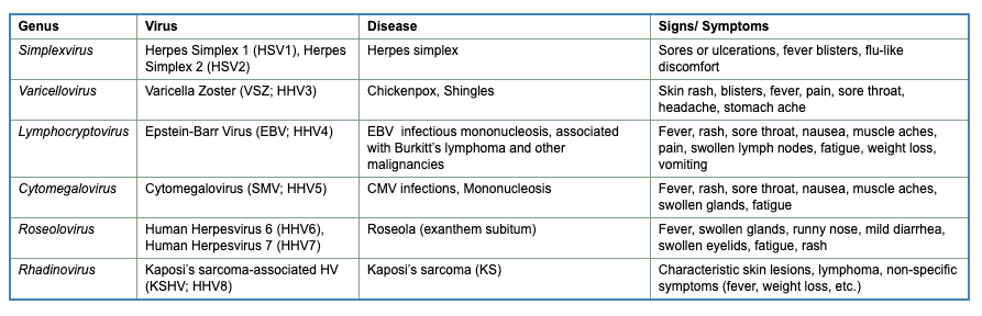 A screenshot of the list of the herpesviruses that infect humans and the disease they cause. (viprbrc.org)