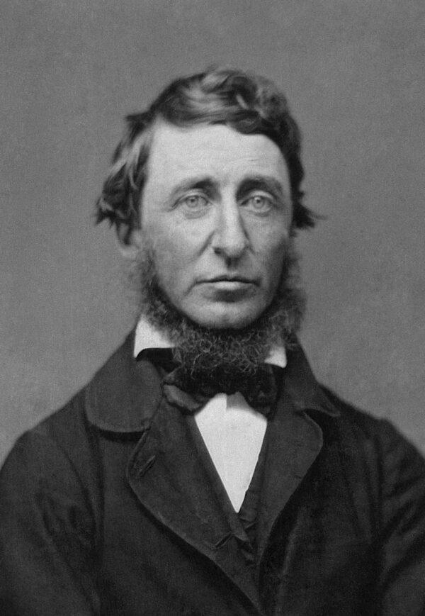 Portrait photograph from a daguerreotype of Henry David Thoreau. (Public Domain)