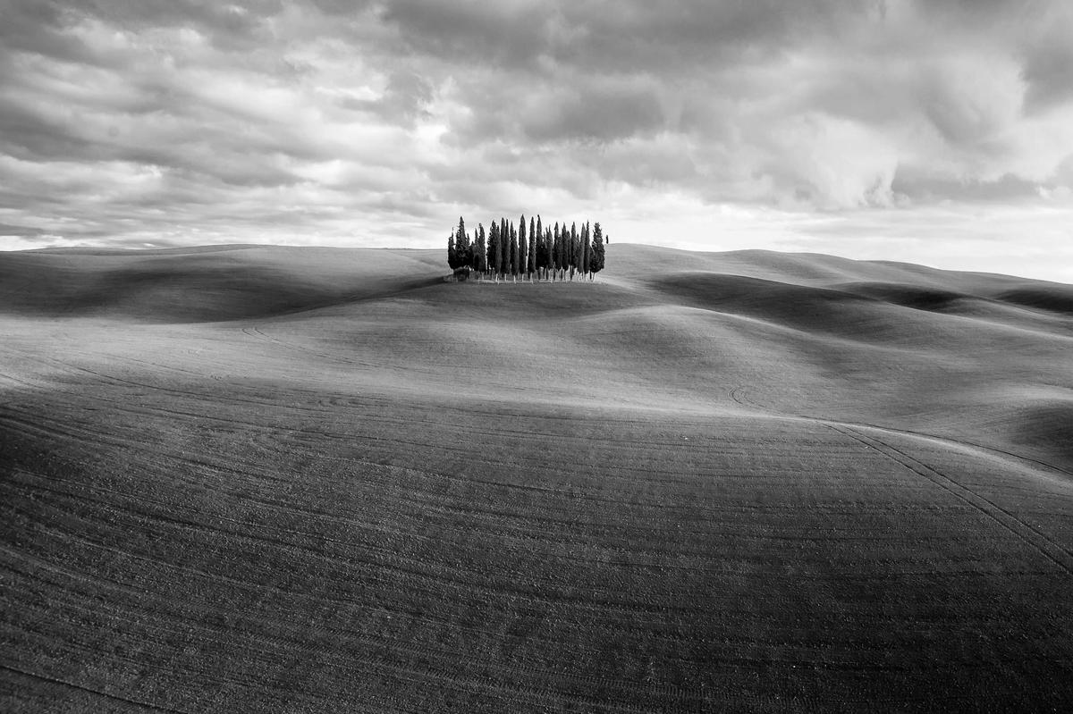 Landscape with trees, Federico Testi, Italy. (Courtesy of Federico Testi/World Nature Photography Award)