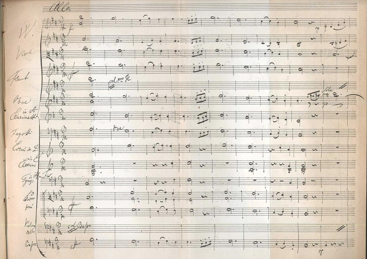 Third movement from the "Unfinished Symphony" by Franz Schubert. (Public Domain)