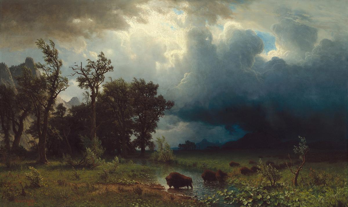 "Buffalo Trail: The Impending Storm," 1869, by Albert Bierstadt. National Gallery of Art, Washington D.C. (Public Domain)