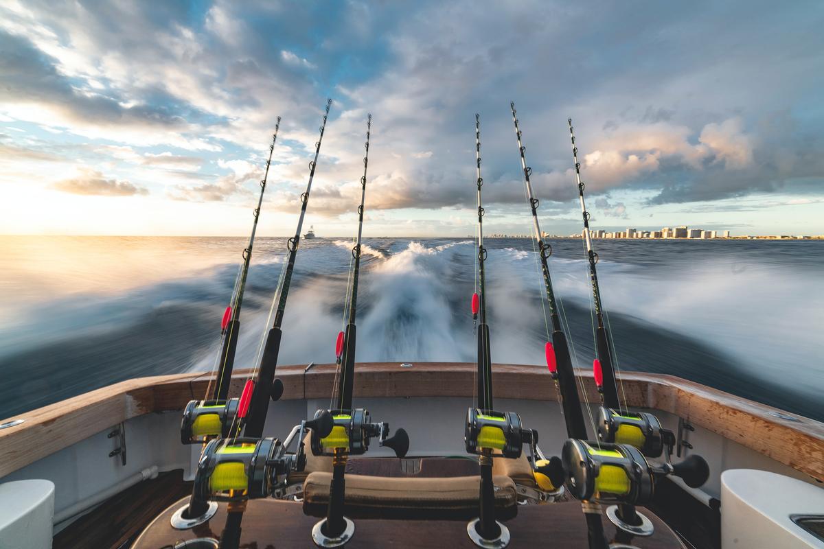 Rather than spending yet another vacation at a theme park, consider booking a bucket list big game fishing trip to enjoy this view. (stephen momot/Unsplash)
