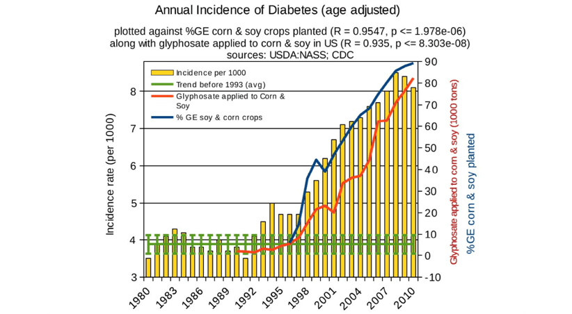 A slide from one of Dr. Seneff's presentations showing the increased incidence of diabetes.