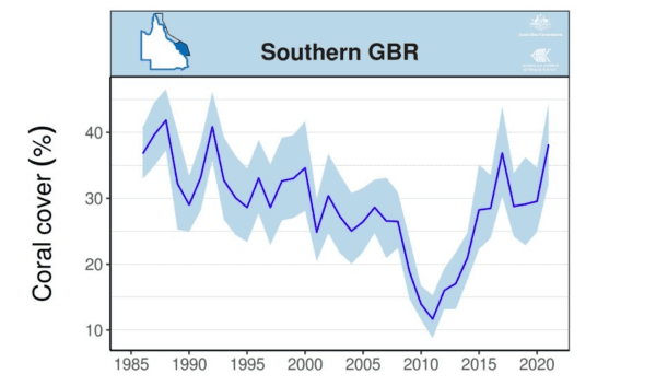 Trends in average hard coral cover (blue line) for the Southern GBR based on manta tow surveys. (AIMS/Screenshot)