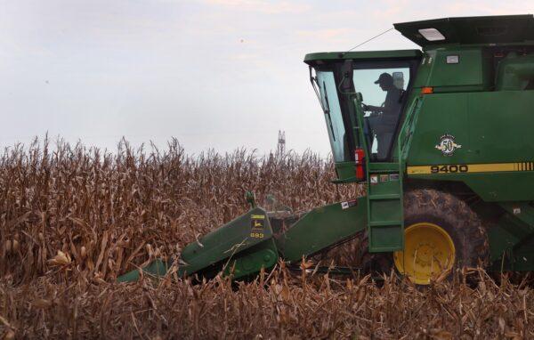 Farmer harvests corn in Princeton, Ind., on Oct. 11, 2021. (Scott Olson/Getty Images)