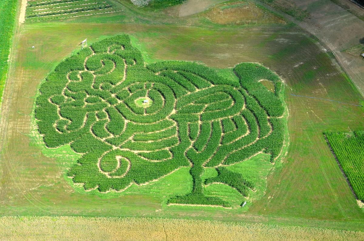 The Great Gobbler, corn maze 2012. (Courtesy of Treworgy Family Orchards)