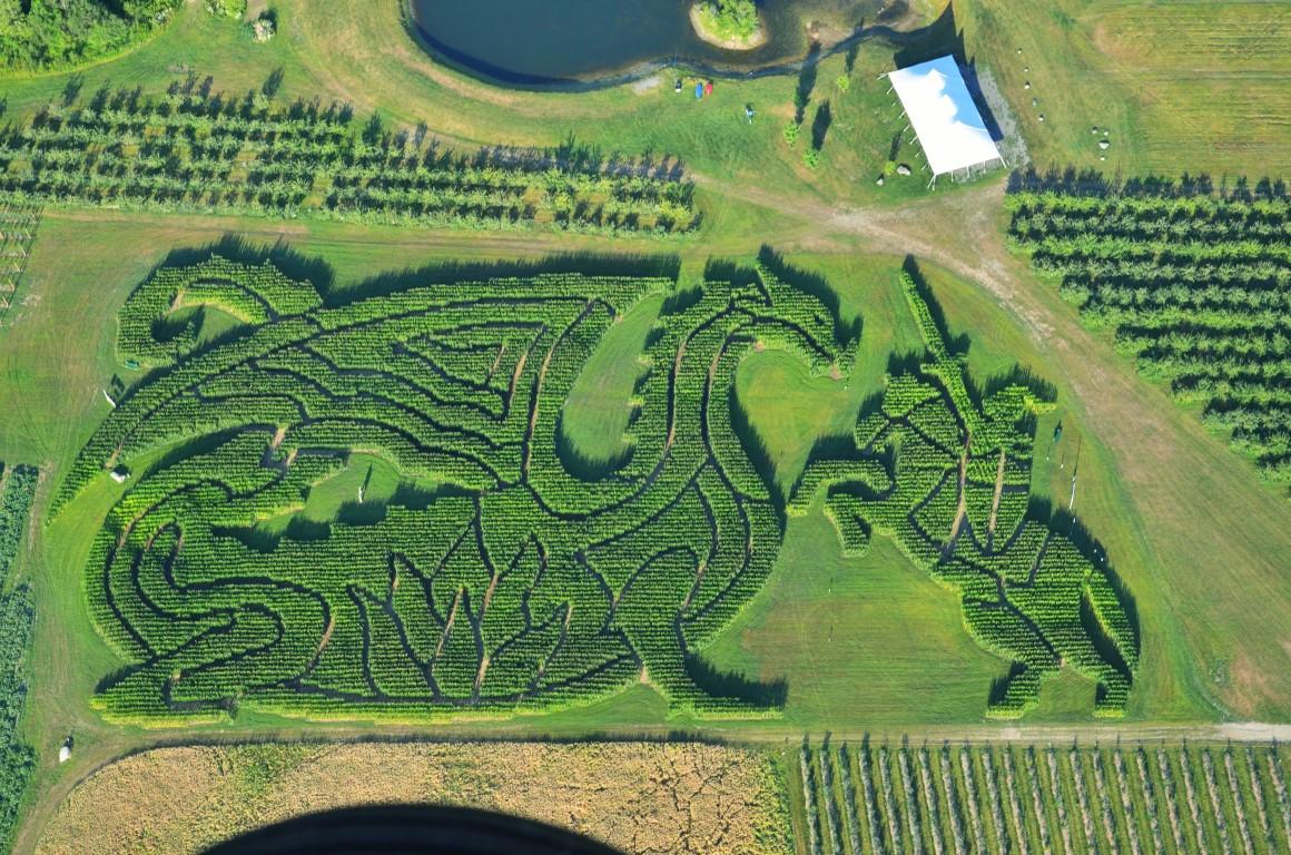 The Good Knight and the Dragon, corn maze 2016. (Courtesy of Treworgy Family Orchards)