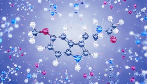 Molecule Of Melatonin. By Sergey Tarasov/Shutterstock