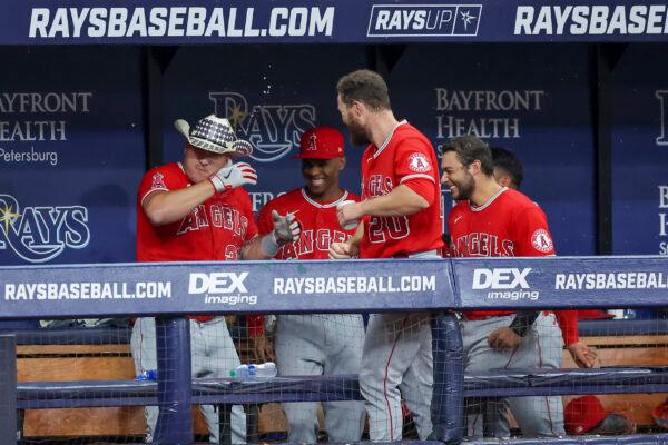 Los Angeles Angels' Mike Trout, left, is congratulated by teammates after his home run against the Tampa Bay Rays during the eighth inning of a baseball game n St. Petersburg, Fla., Aug. 24, 2022. (Mike Carlson/AP Photo)