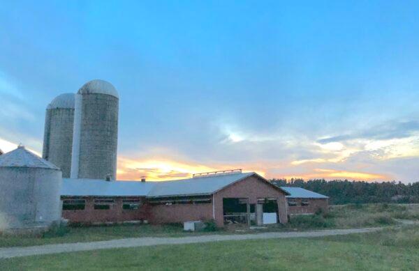 The sun sets over Jonella Farms, owned and operated by the Mooney family, in Massey, Ont. on Aug. 27, 2022. (Peter Wilson/The Epoch Times)