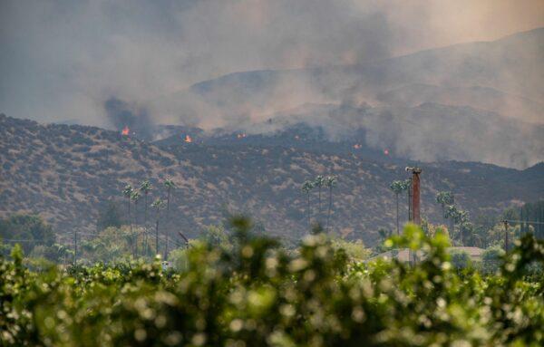 The Fairview fire is burning in Hemet, Calif., on Sept. 6, 2022. (John Fredricks/The Epoch Times)