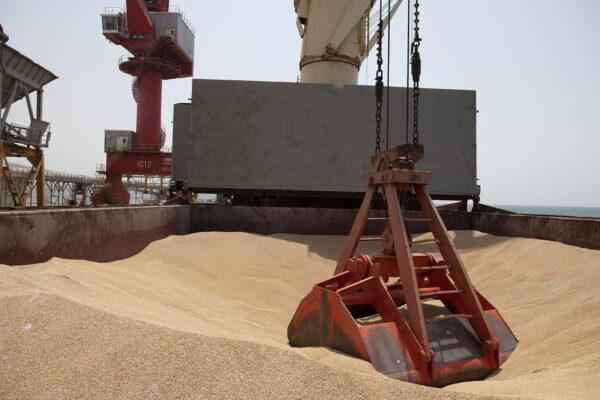 Wheat grain on the MV Brave Commander vessel from Yuzhny Port in Ukraine to the drought-stricken Horn of Africa as it docks at port of Djibouti in Djibouti on Aug. 30, 2022. (Hugh Rutherford/World Food Programme/Handout via Reuters)