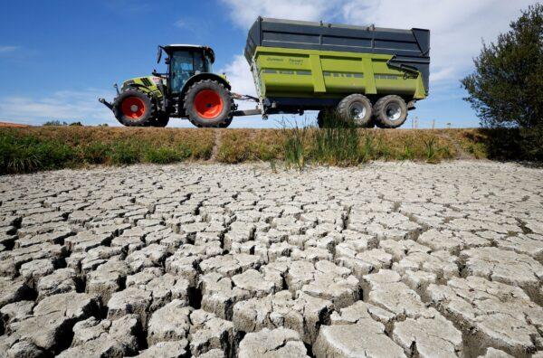 A farmer drives his tractor near cracked and dry earth at the Marais Breton in Villeneuve-en-Retz, as a historic drought hits France, on Aug. 8, 2022. (Stephane Mahe/Reuters)