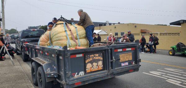 Travis Gienger drove all the way from Anoka, Minn. to bring his champion pumpkin to the Half Moon Bay contest. (David Lam/NTD)