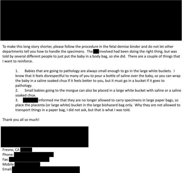 Page 2 of a redacted hospital email on "demise patients." (Obtained by The Epoch Times)