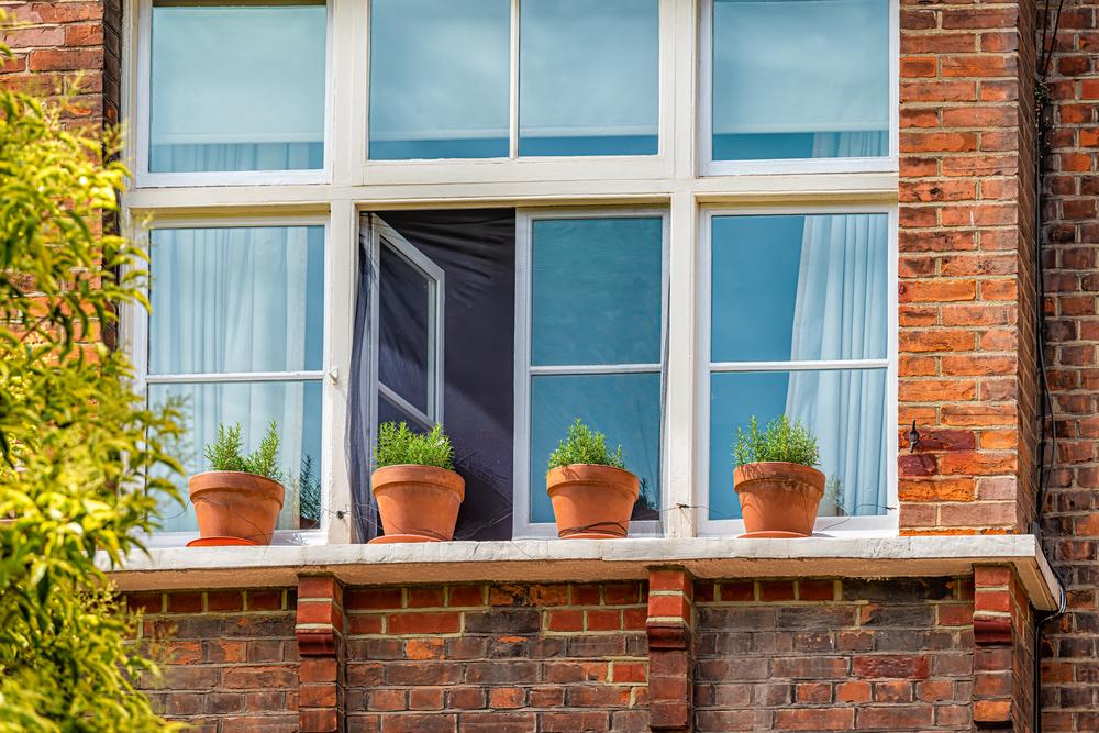 Apartment complexes might have a community garden, or you can grow your own garden on a window or fire escape. (Kristi Blokhin/Shutterstock)