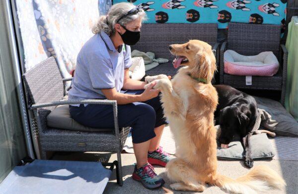 Trainer Lynn works with rescue dog Buddy in 2020. (Courtesy of Cell Dogs, Inc.)