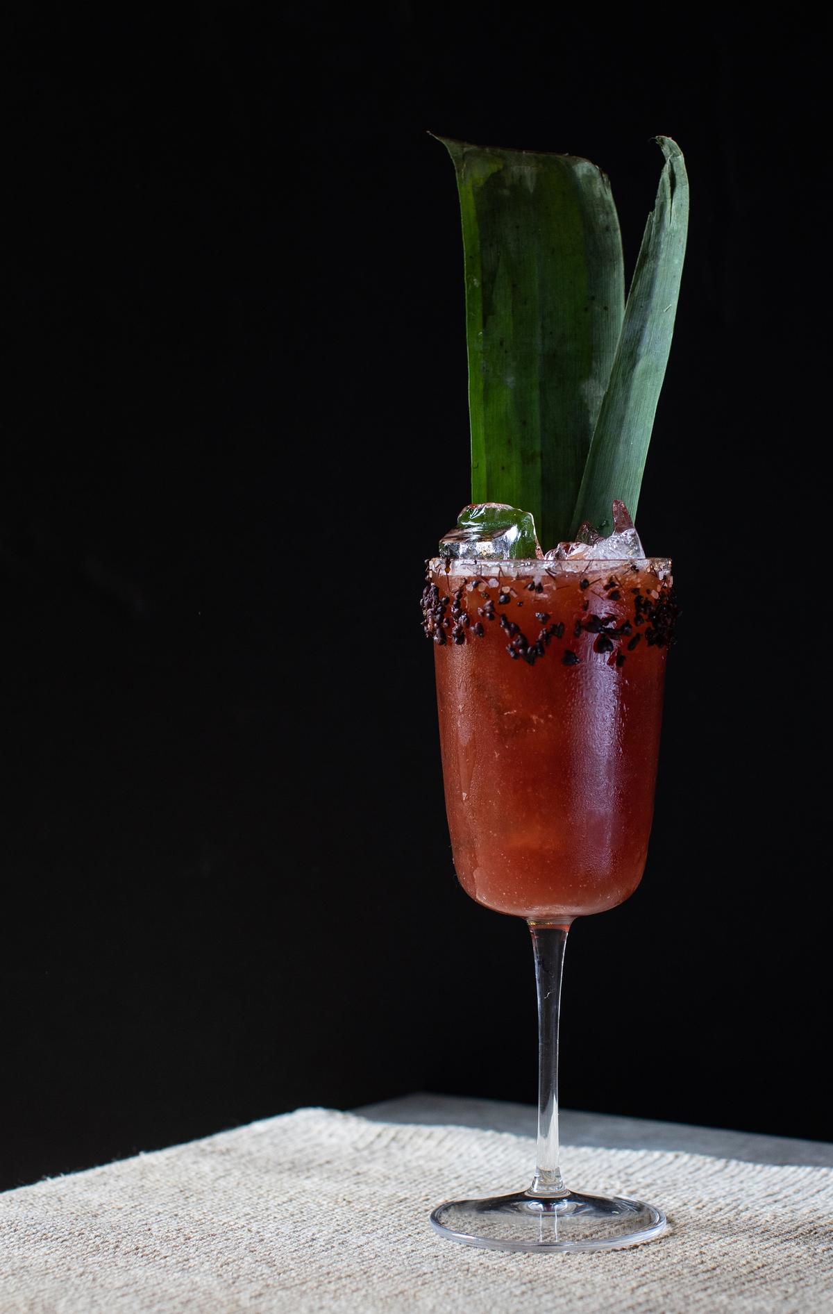 The beverage program, designed by Maja Griffin, focuses primarily on spirits and wines from South America and Spain. (Courtesy of Alma Cocina Latina)