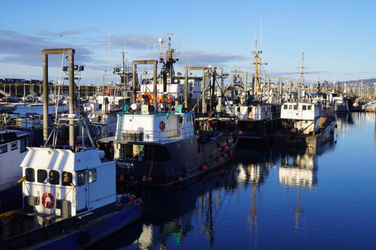 Fishing vessels sit moored in the Homer Spit harbor in Homer, Alaska, on Oct. 27, 2022. (Allan Stein/The Epoch Times)