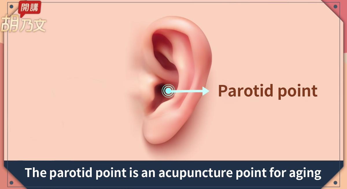 The parotid point is an acupuncture point for aging. (The Epoch Times)