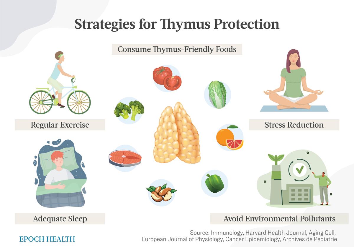 Strategies to protect the thymus. (The Epoch Times)