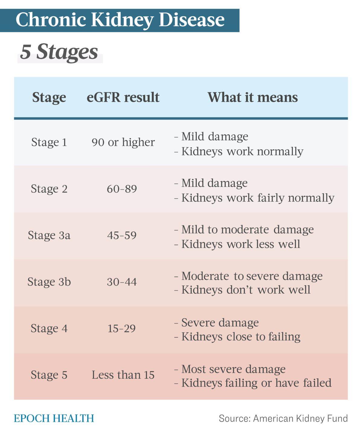 Chronic kidney disease has five stages, with the last stage typically requiring dialysis or a kidney transplant. (The Epoch Times)