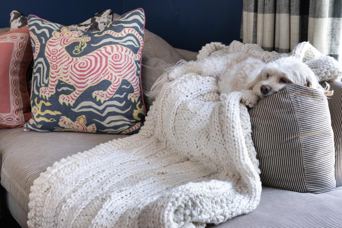 The back cushions of this down-stuffed ticking stripe sectional sofa is a favorite napping spot of Anne’s pup, Oliver. (Handout/TNS)