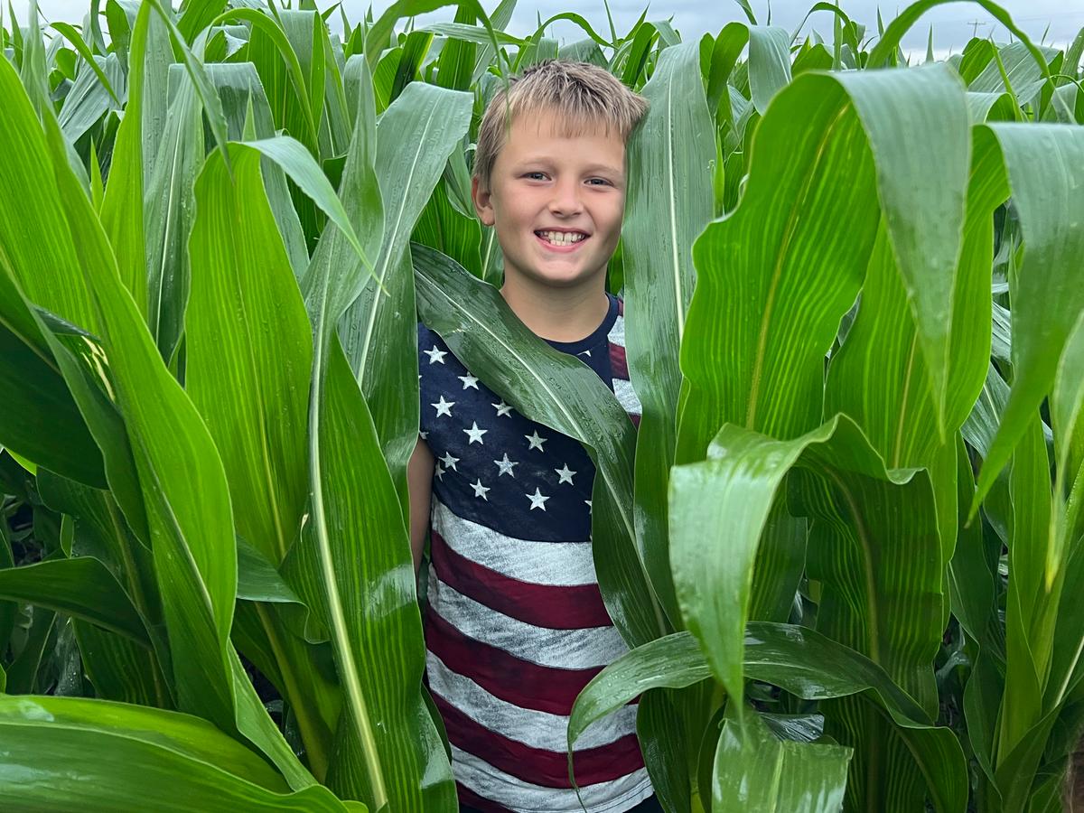 Caleb checking on the Bergner Beef corn crop. (Courtesy of Jill Bergner)