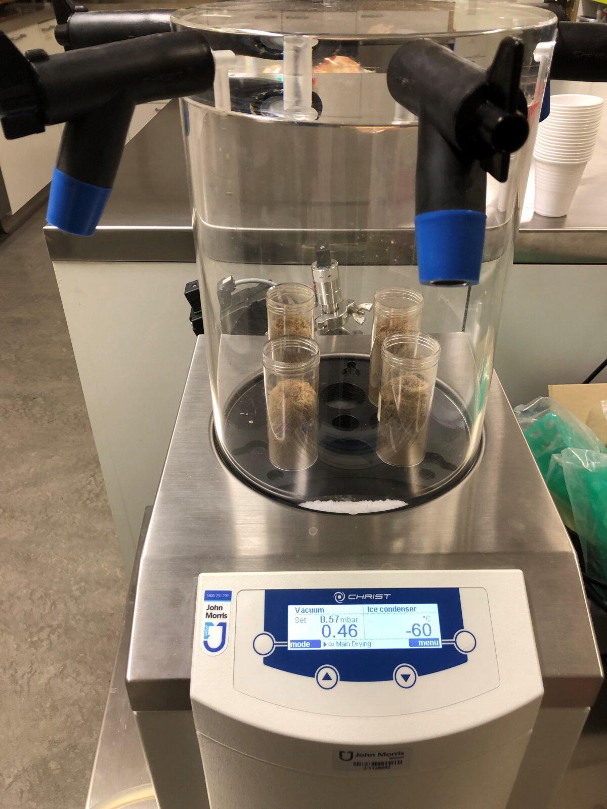 Sea cucumber extract being dried. (University of South Australia)