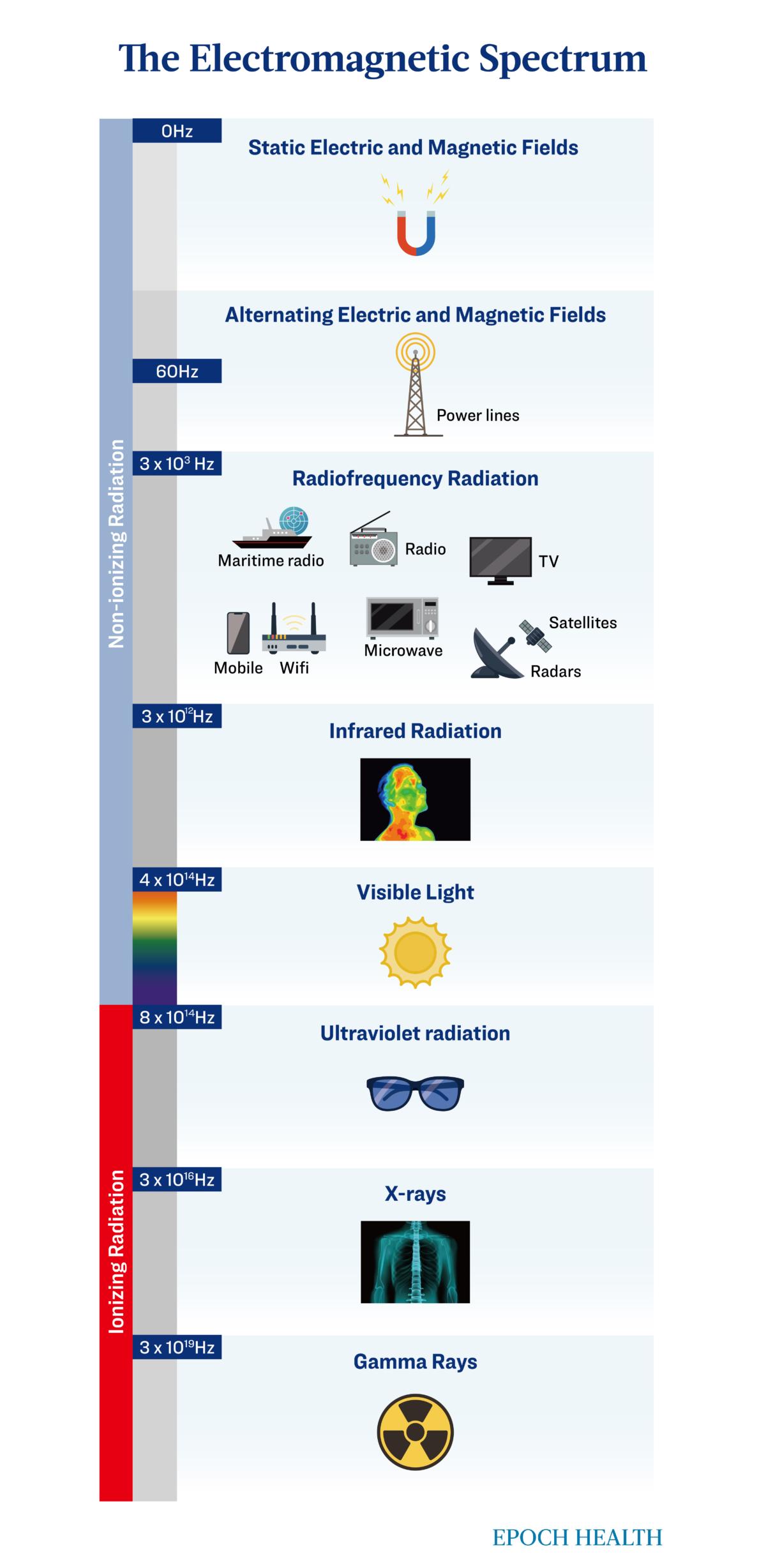 The Electromagnetic Spectrum (The Epoch Times)