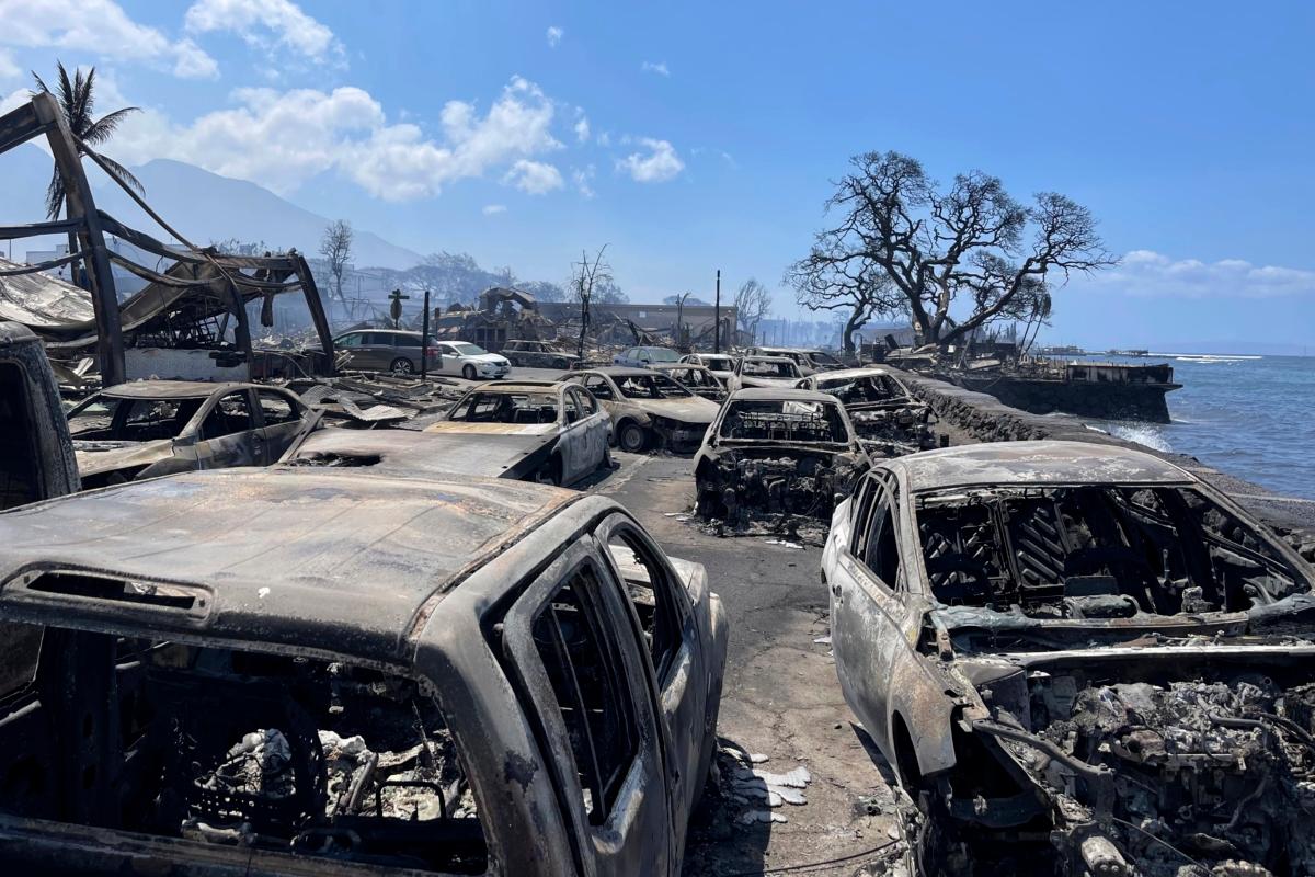 Burned-out cars sit after a wildfire raged through Lahaina, Hawaii, on Aug. 9, 2023. (Tiffany Kidder Winn via AP)
