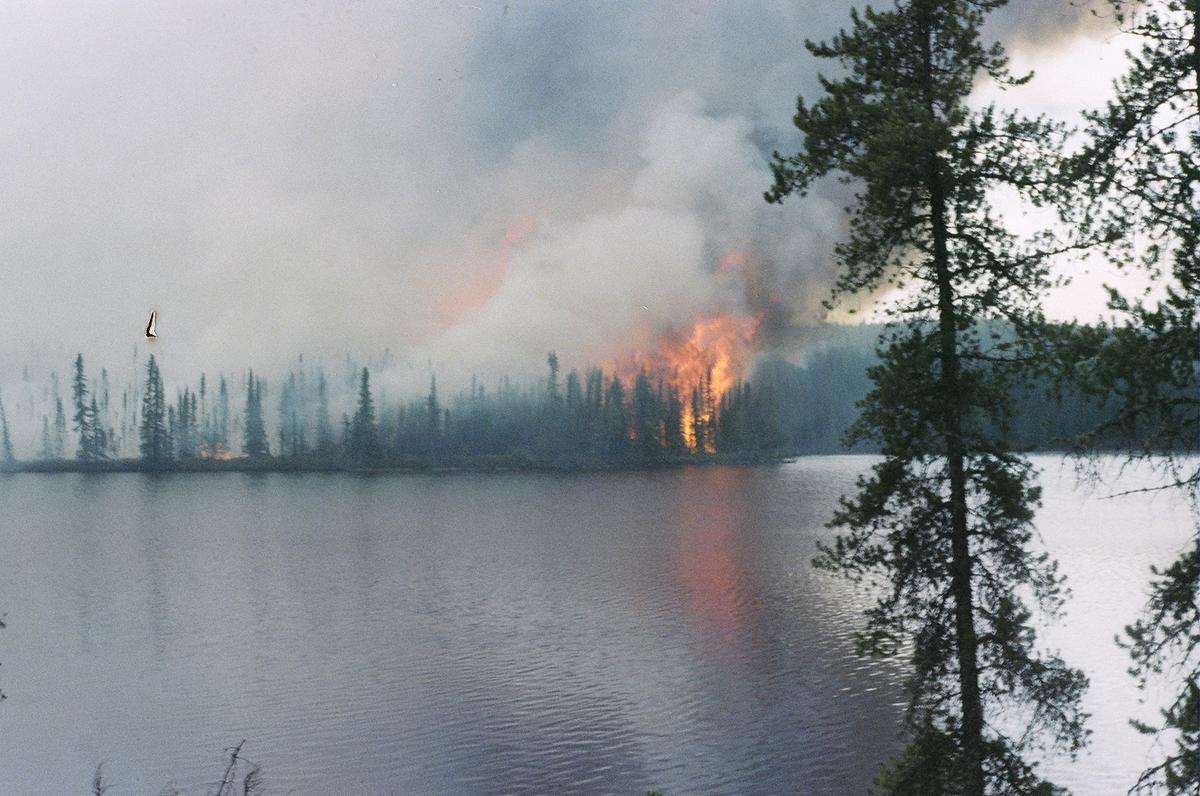 A forest fire in Saskatchewan, Canada. (Courtesy of Ron Melchiore)