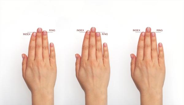 Your finger length can reveal how much testosterone you were exposed to in the womb.(logika600/Shutterstock)