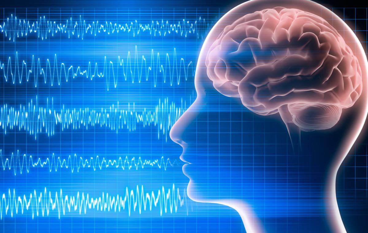 L-theanine has been shown to directly increase alpha brain waves which have been shown to reduce depression and anxiety. (peterschreiber.media/Shutterstock)
