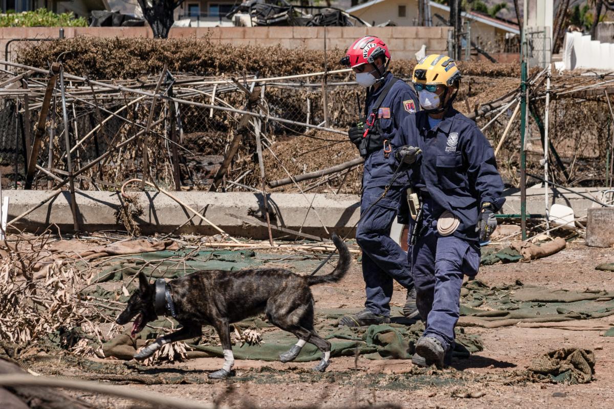 In Maui Fires, Defying Police Blockades Proved Life-Saving | USNN World News Search and recovery team members check burned buildings and cars in the aftermath of the wildfire in Lahaina, Hawaii, on Aug. 18, 2023. (Yuki Iwamura/AFP via Getty Images)