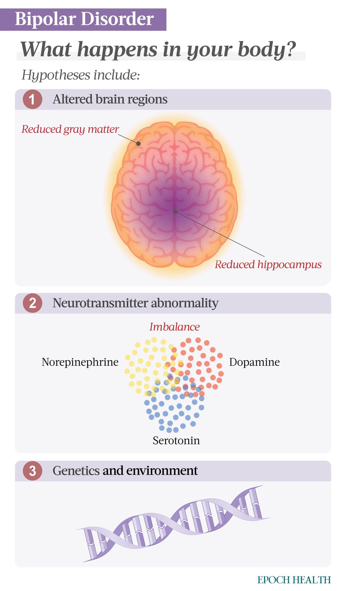 Although the exact cause of bipolar disorder is unknown, experts believe it may result from an imbalance of brain chemicals, physical abnormalities in the brain, genetics, or environmental factors. A combination of factors may also be the cause. (Illustrations from Shutterstock/Designed by The Epoch Times)