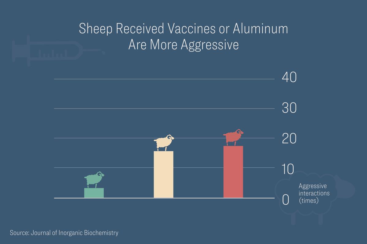 Τα πρόβατα από τις κόκκινες και κίτρινες ομάδες έγιναν σημαντικά πιο επιθετικά.  (Εικονογράφηση από The Epoch Times, Shutterstock)