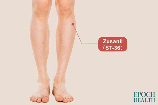 The Zusanli acupressure point is located four fingers' width below the outer knee. (The Epoch Times)