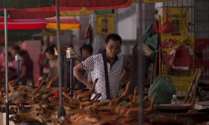 Dog meat on sale at a market in Yulin, in southern China's Guangxi Province, on June 17, 2015. (STR/AFP/Getty Images)