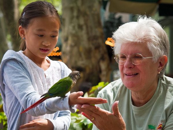 Djuna Mauceri holds Cookie, a green-cheeked conure exotic bird, as Terri Jones, director of Arcadia Bird Sanctuary, assists her at Manhattan's Bryant Park on Tuesday. (Benjamin Chasteen/The Epoch Times)