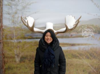 MOOSE HEAD: Kaity Tsui, voted The Greenest New Yorker in a contest by the I love NY board, sports a pair of moose antlers in upstate NY. Courtesy Empire State Development (Courtesy Empire State Development) MOOSE HEAD: Kaity Tsui, voted The Greenest New Yorker in a contest by the I love NY board, sports a pair of moose antlers in upstate NY. Courtesy Empire State Development (Courtesy Empire State Development)