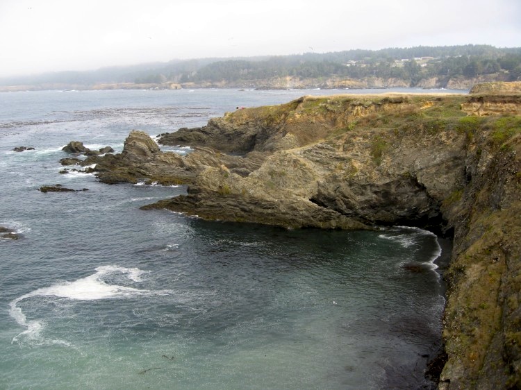 ocean shapes the shore.